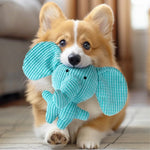 Interactive Blue Elephant Shaped Dog Plush Toy - GreenFur