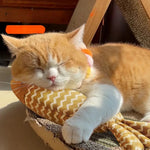 Interactive Catnip Fish Shape Plush Cat Toy - GreenFur