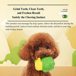 Interactive Chew and Fetch Squeaky Sheep Toy for Dogs - GreenFur