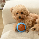 Interactive Chew Squeaky Pool TPR Ball Durable Floating Dog Toys - GreenFur