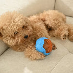 Interactive Chew Squeaky Pool TPR Ball Durable Floating Dog Toys - GreenFur