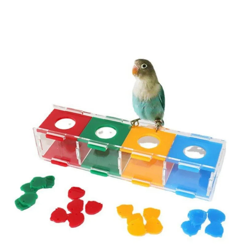 Interactive Color Sorting Coin Box Parrot Training Intelligence Toy - GreenFur