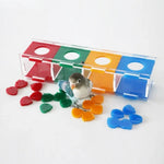 Interactive Color Sorting Coin Box Parrot Training Intelligence Toy - GreenFur