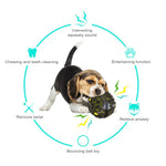 Interactive Dog Ball Toy for Aggressive Chewers Hard Tough Pet Toy - GreenFur