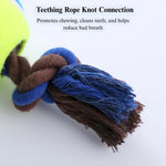 Interactive Dog Toy with Built - in Squeaker - GreenFur