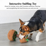 Interactive Dumbbell Shaped Dog Toy with Squeaker and Treat Holder - GreenFur