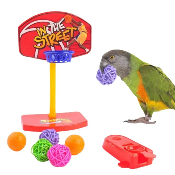 Interactive Durable Basketball Bird Toy for Exercise and Fun - GreenFur