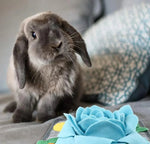 Interactive Flower - Shaped Foraging Mat for Small Pets Stress - Relief - GreenFur