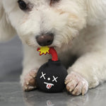 Interactive Natural Latex Dog Toy BB Squeaker Bomb for Small Breeds - GreenFur