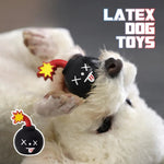Interactive Natural Latex Dog Toy BB Squeaker Bomb for Small Breeds - GreenFur