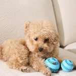 Interactive Natural Rubber Pet Treat Toys Leakage Food Dog Toy Ball - GreenFur