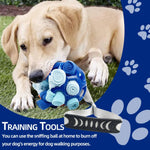 Interactive Pet Toy Ball TPR Hollow Sound Ball for Dogs and Cats - GreenFur