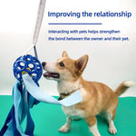 Interactive Pet Toy Ball TPR Hollow Sound Ball for Dogs and Cats - GreenFur