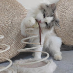 Interactive Spring - Coil Mouse Fish Style Plush Cat Toy - GreenFur