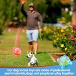 Interactive Squeaky Dog Toy with Built - In Tennis Ball - GreenFur