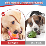 Interactive Squeaky Dog Toy with Built - In Tennis Ball - GreenFur