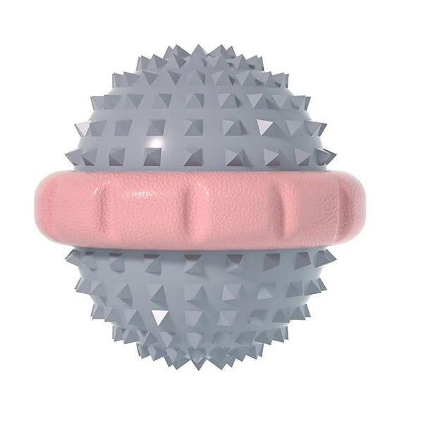 Interactive Squeaky Pet Toy for Dog Outdoor Training and Play - GreenFur