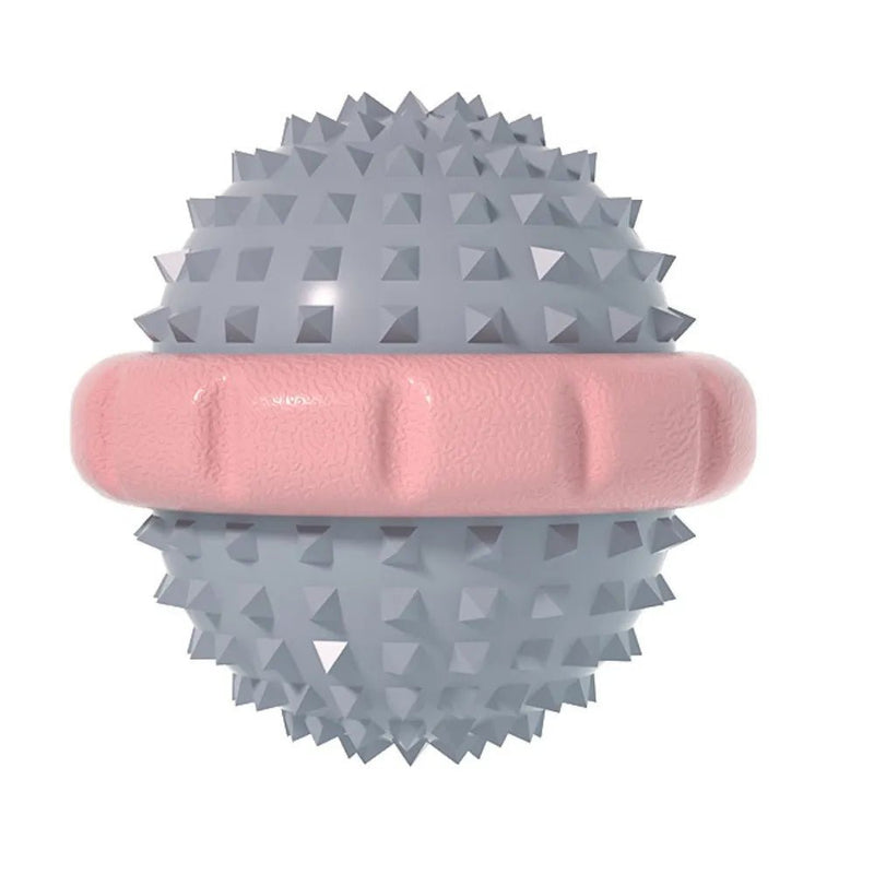 Interactive Squeaky Pet Toy for Dog Outdoor Training and Play - GreenFur