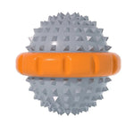 Interactive Squeaky Pet Toy for Dog Outdoor Training and Play - GreenFur