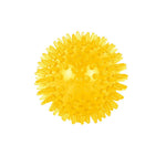 Interactive Squeaky TPR Dog Ball Pet Bite Resistant Chew Toy - GreenFur
