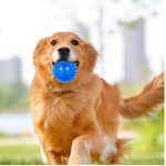 Interactive Squeaky TPR Dog Ball Pet Bite Resistant Chew Toy - GreenFur