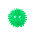 Interactive Squeaky TPR Dog Ball Pet Bite Resistant Chew Toy - GreenFur