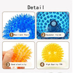 Interactive Squeaky TPR Dog Ball Pet Bite Resistant Chew Toy - GreenFur