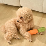 Interactive Teeth - Cleaning Carrot Rubber Squeaky Dog Toy - GreenFur