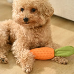 Interactive Teeth - Cleaning Carrot Rubber Squeaky Dog Toy - GreenFur