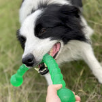 Interactive TPR Chew Toy Twist Stick for Large Breed Dogs - GreenFur