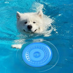 Interesting Swimming Pool Float Chew TPR Flying Disc Dog Toy - GreenFur