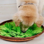 IQ Training Pet Food Feeding Mat Cat Dog Snuffle Mats - GreenFur