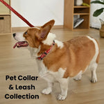 L Size Luxury Easy Cleaning Wear - Resistant Waterproof Pet Dog Collar - GreenFur