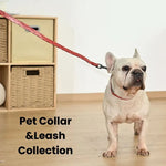 L Size Luxury Easy Cleaning Wear - Resistant Waterproof Pet Dog Leash - GreenFur