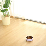 L Size Non - Slip Double - Layer Durable Feeder Bowl - GreenFur