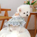 Lace Tulle Dress Flower Bowknot Dress for Dogs - GreenFur
