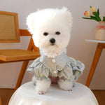 Lace Tulle Dress Flower Bowknot Dress for Dogs - GreenFur