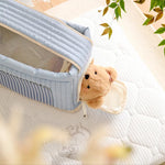 Large Capacity Colorful Cute Portable Outdoor Pet Bag - GreenFur