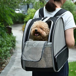 Large Capacity Transparent Pet Backpack for Travel - GreenFur