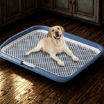 Large Pet Training Pads Holder Dog Puppy Mesh Training Toilet Potty Tray - GreenFur