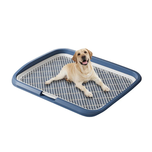 Large Pet Training Pads Holder Dog Puppy Mesh Training Toilet Potty Tray - GreenFur