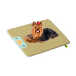 Large Size Breathable Cooling Bed for Big Dogs - GreenFur