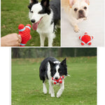 Latex Sound Toys for Medium Puppies Starfish Lifebuoy Design - GreenFur
