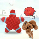 Latex Sound Toys for Medium Puppies Starfish Lifebuoy Design - GreenFur