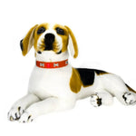 Leather Dog Collar with Metal Bone Decorations - GreenFur