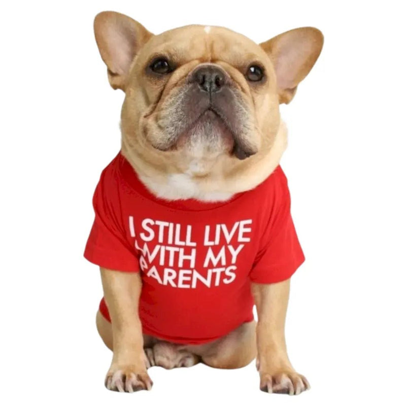 Letter Printed Bulldog Round Neck Dog Summer T-shirt - GreenFur