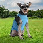 Lightweight Cartoon Print Pet Vest for Dogs - GreenFur