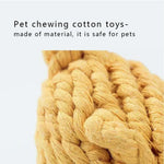 Lion Dog Cotton Rope Chew Toy for Puppies and Cats Aggressive Chewers - GreenFur