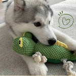 Lizard - shaped Plush Cotton Rope Squeaky Dog Toy - GreenFur