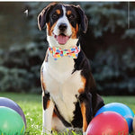 Love Heart Egg Four - Leaf Clover Printed Bowknot Pet Collar - GreenFur